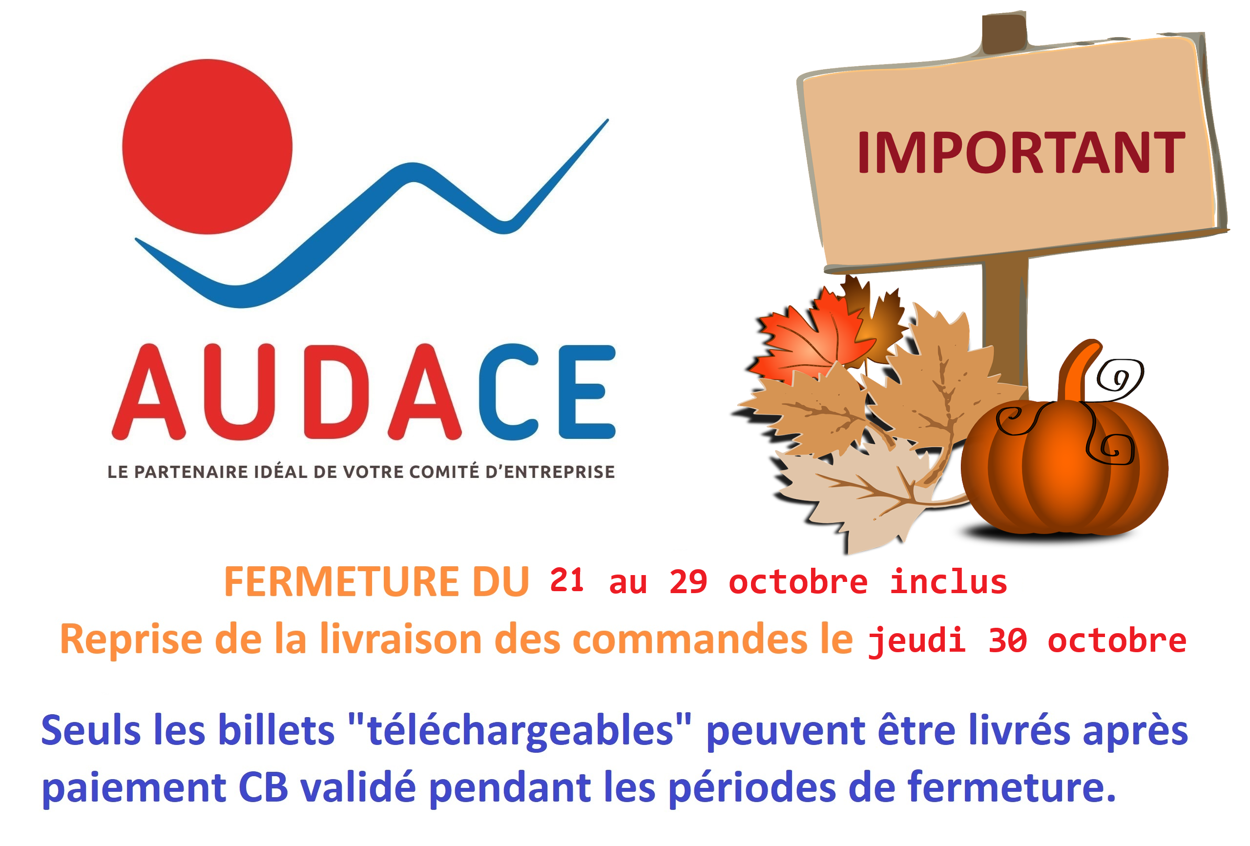 <span style="color: #e32b28"><strong>AUDACE 44</strong></span>